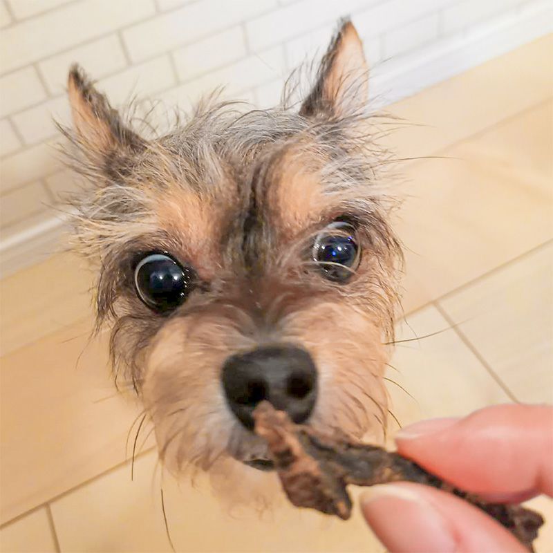 【無添加 国産】高知県産 四万十鶏レバービッツ 150g