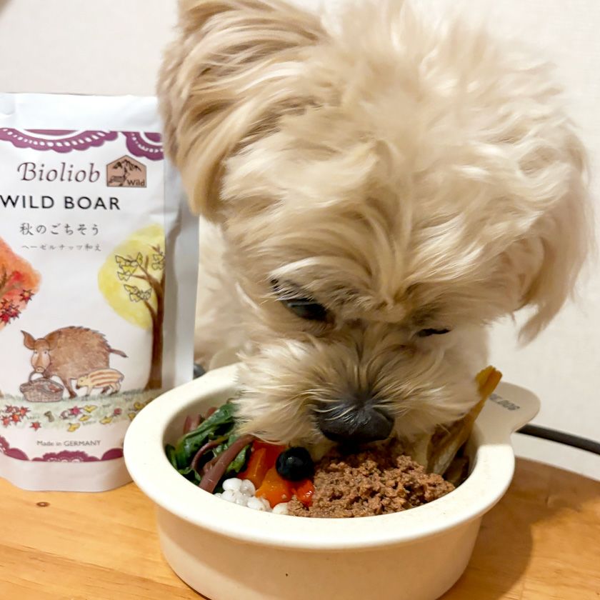 【Bioliob ビオリオーブ】イノシシ 秋のごちそう ヘーゼルナッツ和え