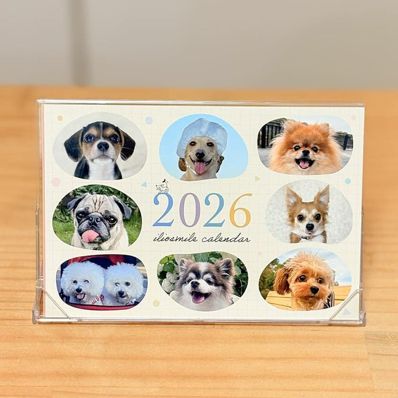 イリオスマイルオリジナルカレンダー2024