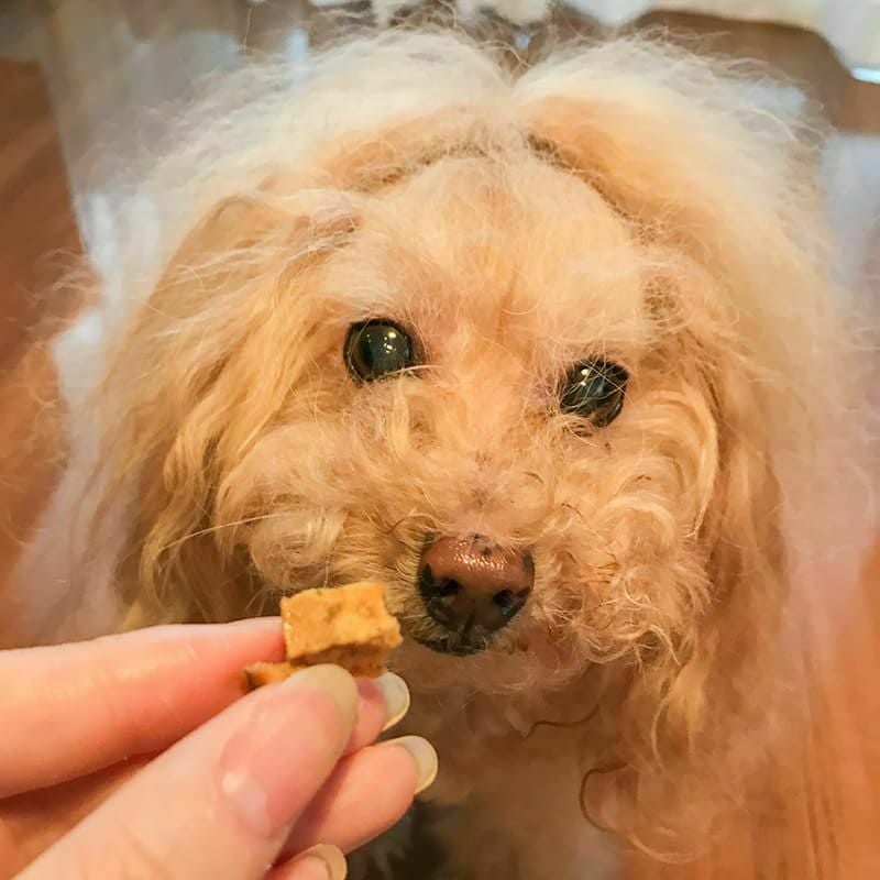 週末セール：【無添加 国産】明石産 白身魚ダイス 150g