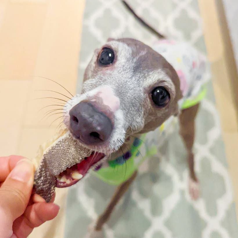 週末セール：【無添加 国産】青森産 真鱈スライス 150g