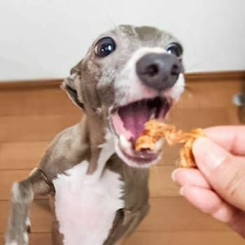 週末セール：【無添加 国産】高知県産 四万十鶏一口ささみ 50g