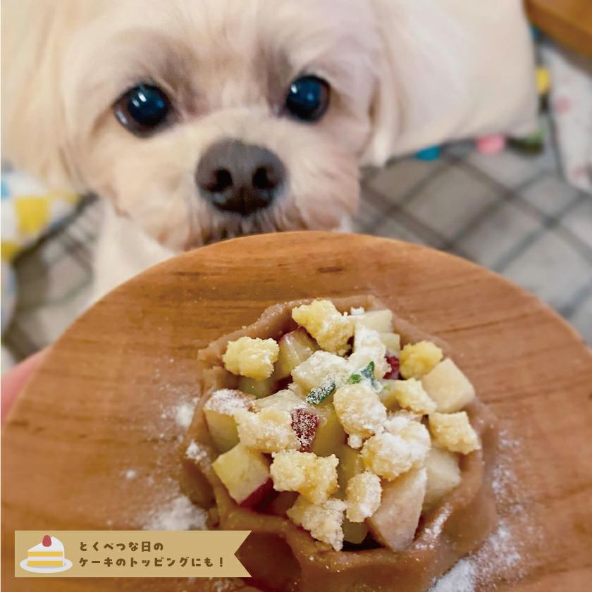 週末セール：【無添加】モンゴル産 ヤギミルクのヨーグルトビッツ 50g