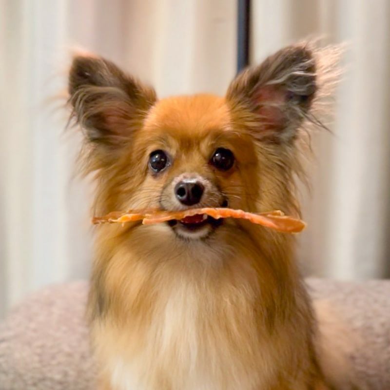 週末セール：【無添加 国産】但馬鶏スライス 150g