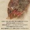 静岡産 猪の干し肉 50g