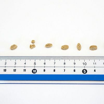 【Yum Yum Yum! ヤムヤムヤム】健康マネジメント 腎臓 1.3kg