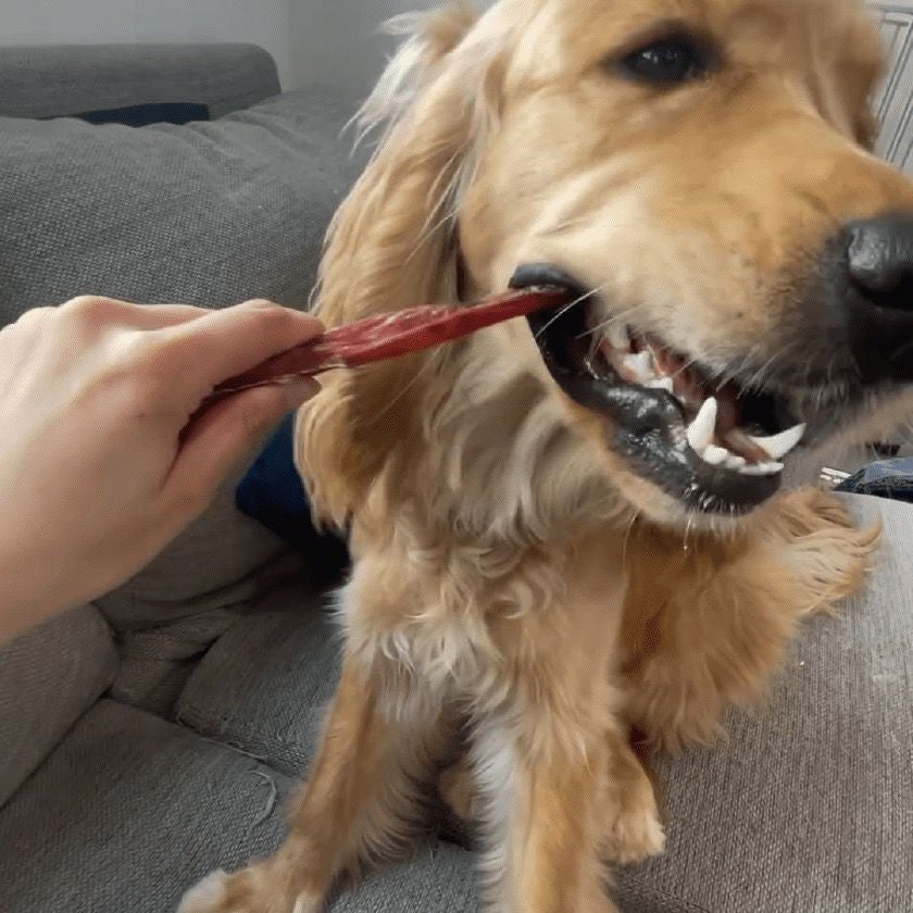 児島産 豚ホルバー 50g