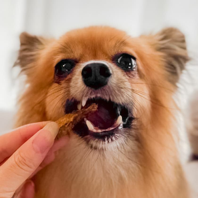 週末セール：【無添加 国産】兵庫産 タイスティック 50g