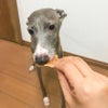 【無添加 国産】無薬飼育鶏のスライスジャーキー 100g