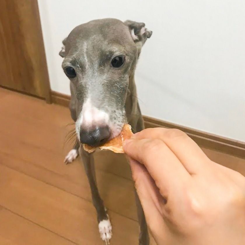 【無添加 国産】無薬飼育鶏のスライスジャーキー 100g