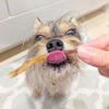週末セール：【無添加 国産】九州産 豚耳スライス 50g