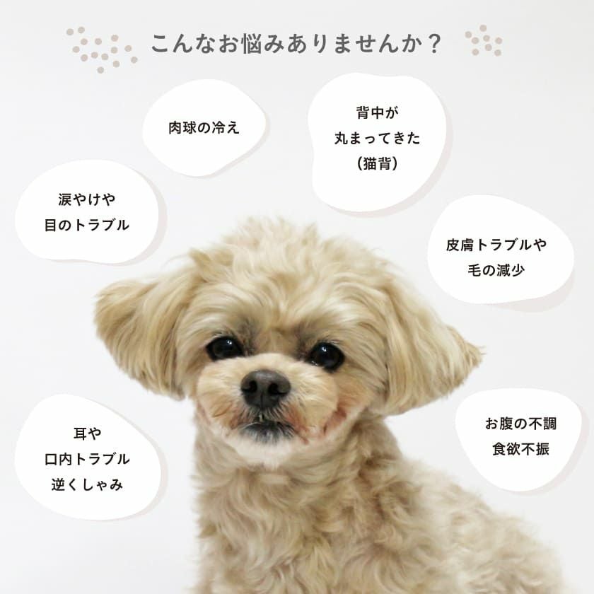 【国産】マハナ -温活ホットパック- 長方形