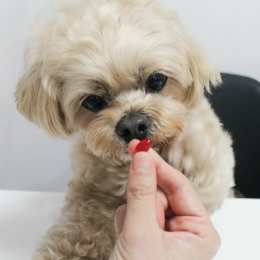 自然のエッセンス スマイルサプリ クリルオイル 180粒