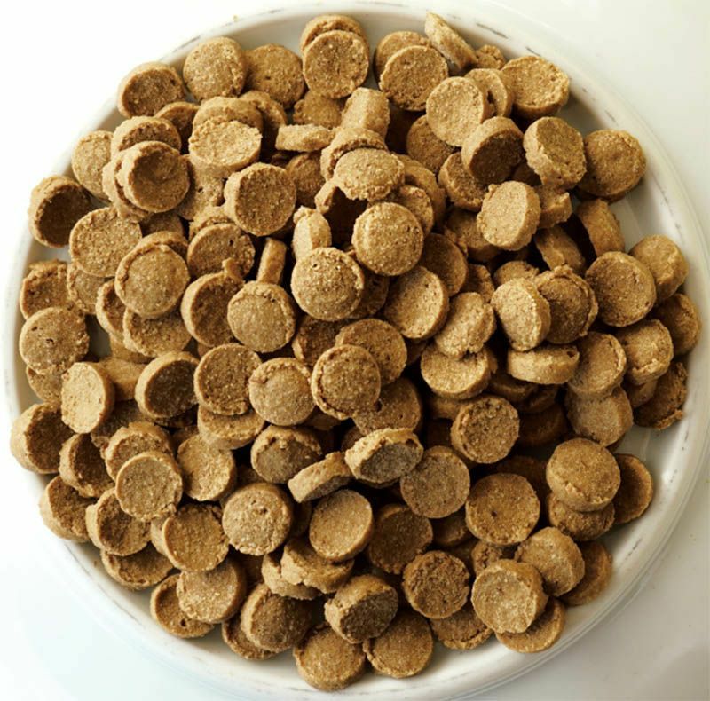  定期購入：【Yum Yum Yum! ヤムヤムヤム】馬肉 ドライタイプ 500g