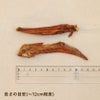 京鴨の手羽先 50g 一本の長さは12cm程度