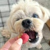 週末セール：【無添加】スマイル薬膳 フリーズドライさんざしちゃん 25g