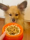 週末セール：【無添加 国産】いわし煮