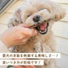 週末セール：【国産 無添加】牛もも肉ジャーキー 50g