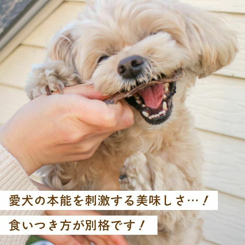 週末セール：【国産 無添加】牛もも肉ジャーキー 50g