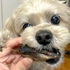 【無添加 国産】うなぎのかぶと焼き 50g
