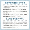 瀬戸内産 ハモかまぼこ 2本入り