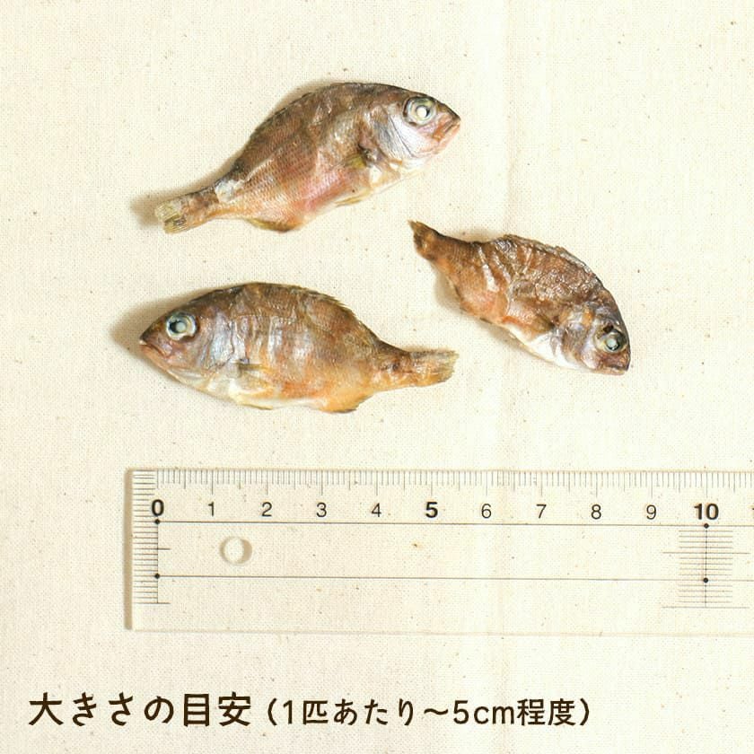 【国産 無添加】高知産 豆鯛の煮干し 80g