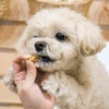 週末セール：【国産 無添加】兵庫県産 細切りささみ 150g