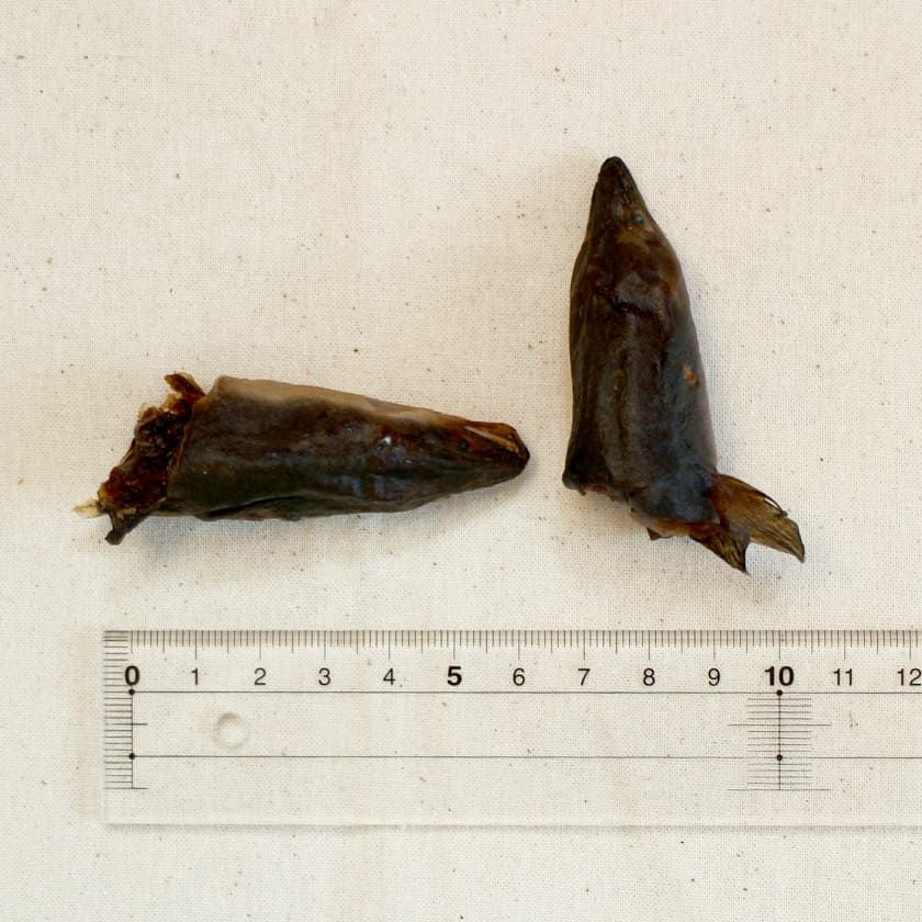 うなぎのかぶと焼き 50g×5個セット