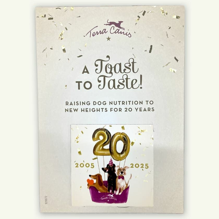 【Terra Canis テラカニス】数量限定：20周年アニバーサリーメニュー ビーフ グリーンアスパラガスとローズマリーとポテトを添えて