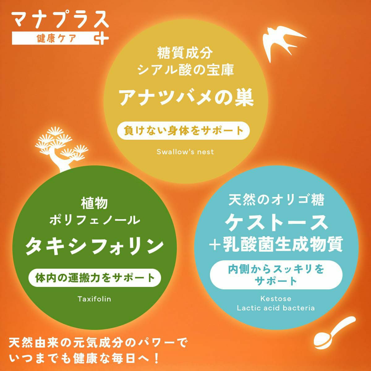 1dayセール：【天然由来成分配合】スマイルサプリ マナプラス ～健康ケア～ 60g