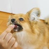 週末セール：【無添加 国産】ヤギミルクボーロ