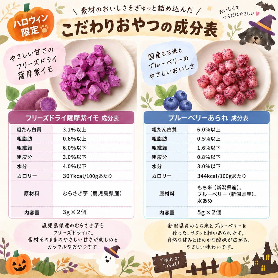 ドットわんハロウィン2026 アソートセット
