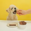 【無添加】馬サクサクチップス 100g