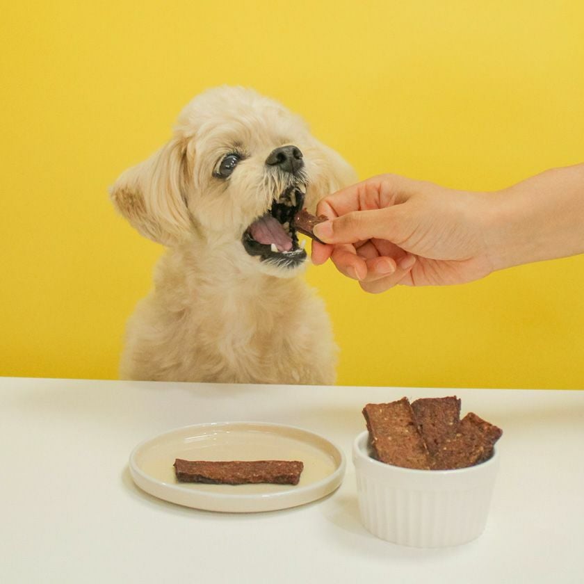 【無添加】馬サクサクチップス 100g