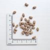 【Yum Yum Yum! ヤムヤムヤム】健康マネジメント消化サポート 500g