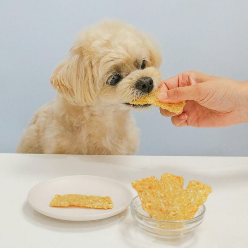 いい魚の日セール：【国産 無添加】サメ軟骨MIXチップス 30g×5個セット