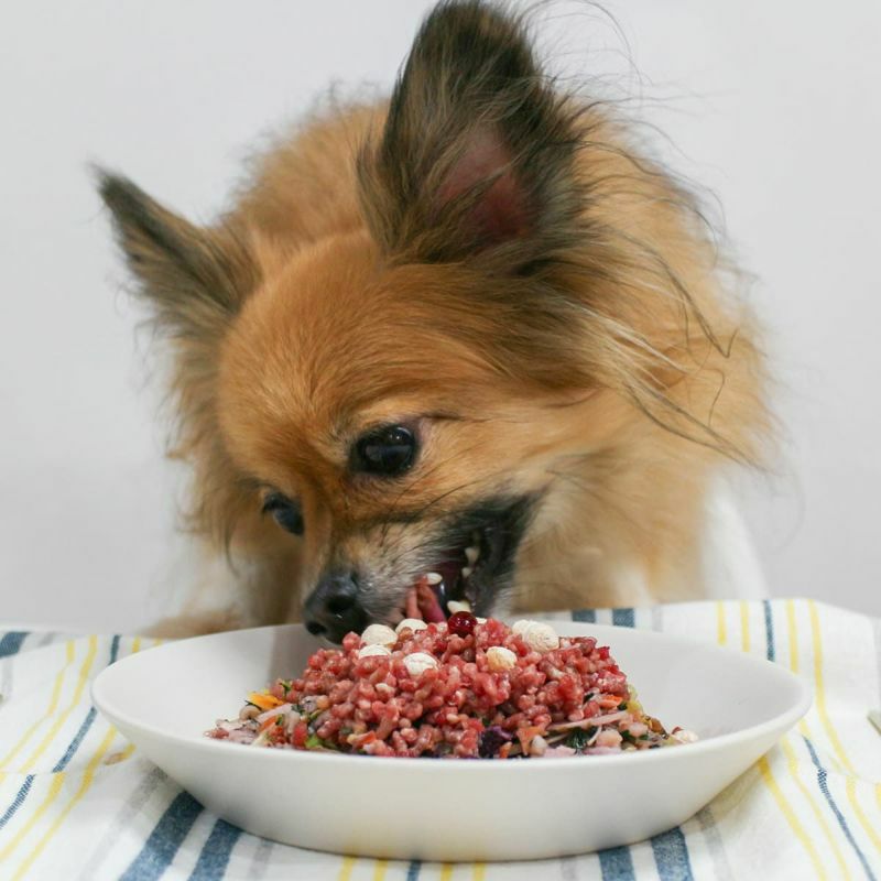 定期購入：【国産 無添加】九州産 10種の彩り乾燥野菜ミックス 200g （ブドウ糖不使用）