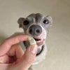 フリーズドライ 北海道ポテト 30g