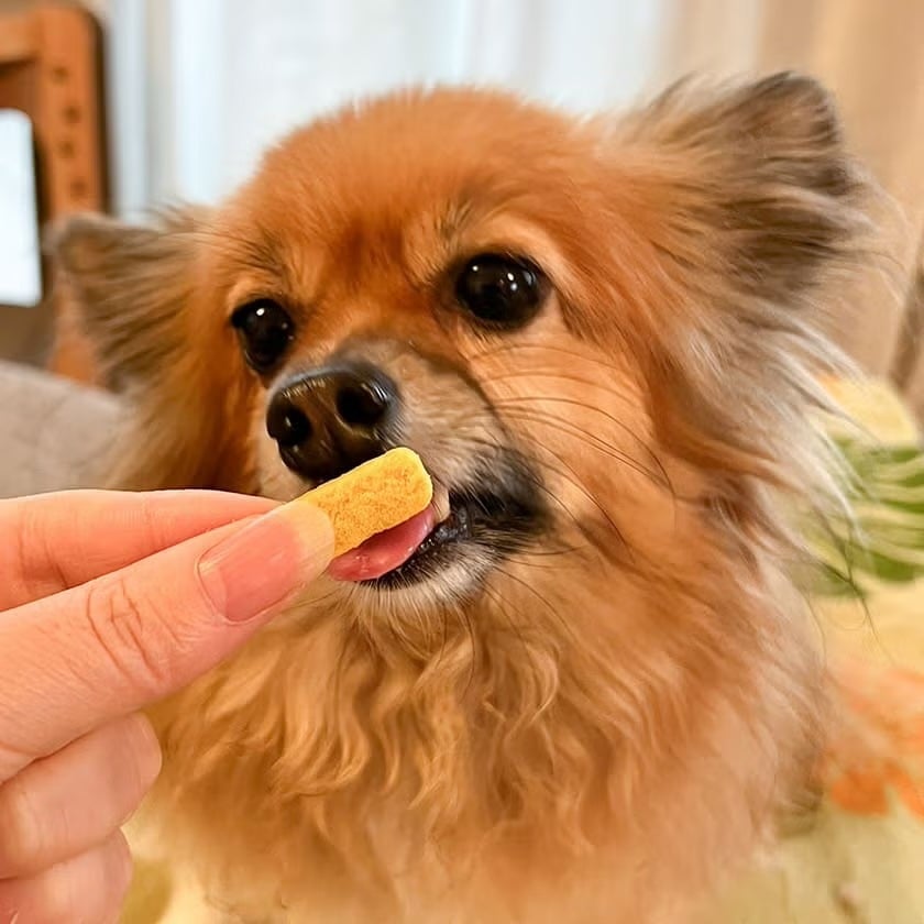 週末セール：【無添加】pupuビスケット ホッケ 30g