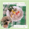  週末セール：【国産 無添加】フリーズドライ 北海道野菜ミックス（ポテト・コーン）30g