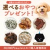 【20,000円以上ご購入特典】選べるおやつプレゼント（全6種）