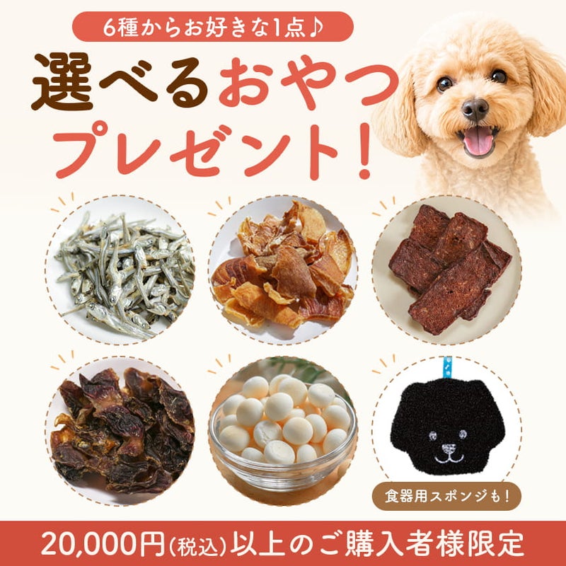 【20,000円以上ご購入特典】選べるおやつプレゼント（全6種）