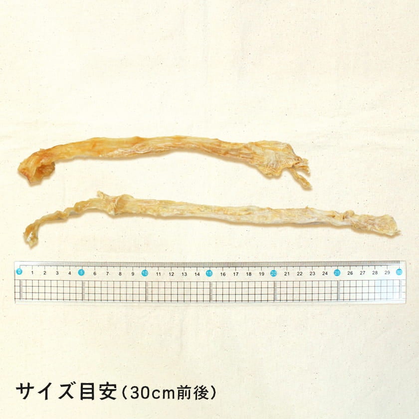 ターキーアキレス 100g