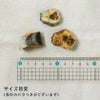 兵庫県産 ハモビッツ 50g