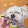 兵庫産 ハモスティック 150g
