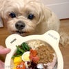 【Bioliob ビオリオーブ】鶏ハツ 夏のごちそう パパイヤ仕立て