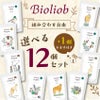 【Bioliob ビオリオーブ】選べる12個セット（+1個おまけ付）（旧Herrmann's ヘルマン)