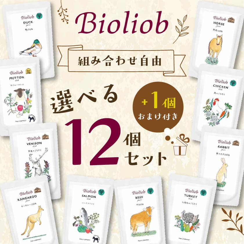 【Bioliob ビオリオーブ】選べる12個セット（+1個おまけ付）（旧Herrmann's ヘルマン)