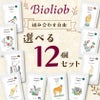 【Bioliob ビオリオーブ】選べる12個セット（+1個おまけ付）（旧Herrmann's ヘルマン)