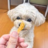 週末セール：【国産 無添加】紅はるかのおいもスティック 80g